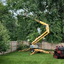 Best Grass Overseeding  in Blossburg, PA