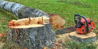 Best Hazardous Tree Removal  in Blossburg, PA
