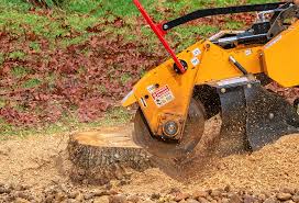 Blossburg, PA Tree Care Company